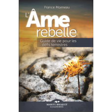L'ÂME REBEL / France Morneau